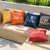 MIULEE Outdoor Waterproof Throw Pillow Covers Set of 2 Hello Sunshine Decorative Outdoor Square Pillowcases for Chair Patio Garden Couch Tent Balcony Sofa Black 18×18 Inch(Black)