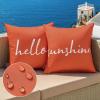 MIULEE Outdoor Waterproof Throw Pillow Covers Set of 2 Hello Sunshine Decorative Outdoor Square Pillowcases for Chair Patio Garden Couch Tent Balcony Sofa Black 18×18 Inch(Coral Red)