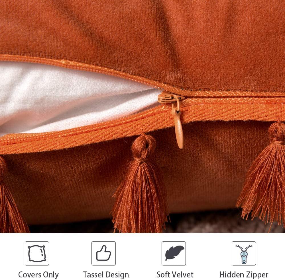 imageMIULEE Pack of 2 Fall Velvet Soft Decorative Throw Pillow Covers with Tassels Fringe Boho Accent Cushion Case for Couch Sofa Bed 22 x 22 Inch Orange