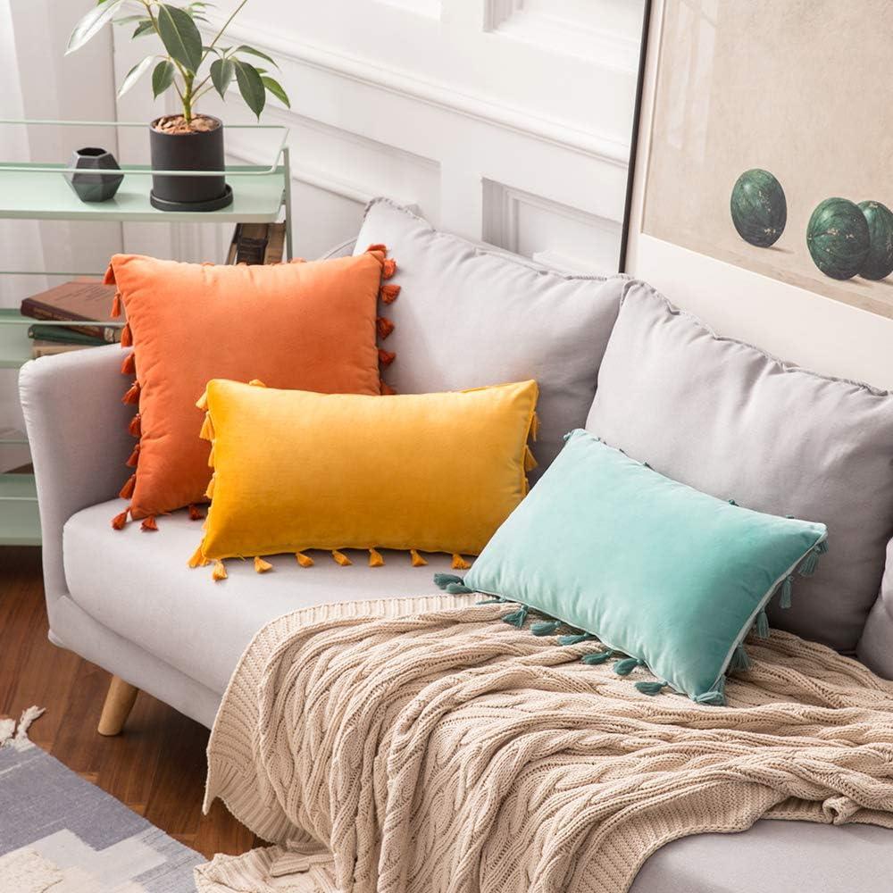 imageMIULEE Pack of 2 Fall Velvet Soft Decorative Throw Pillow Covers with Tassels Fringe Boho Accent Cushion Case for Couch Sofa Bed 22 x 22 Inch Orange