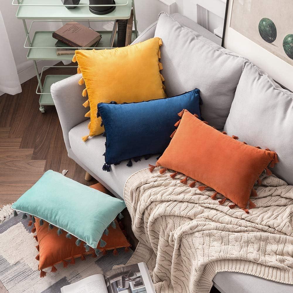imageMIULEE Pack of 2 Fall Velvet Soft Decorative Throw Pillow Covers with Tassels Fringe Boho Accent Cushion Case for Couch Sofa Bed 22 x 22 Inch Orange