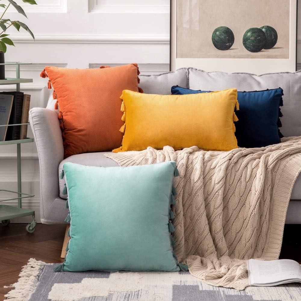 imageMIULEE Pack of 2 Fall Velvet Soft Decorative Throw Pillow Covers with Tassels Fringe Boho Accent Cushion Case for Couch Sofa Bed 22 x 22 Inch Orange