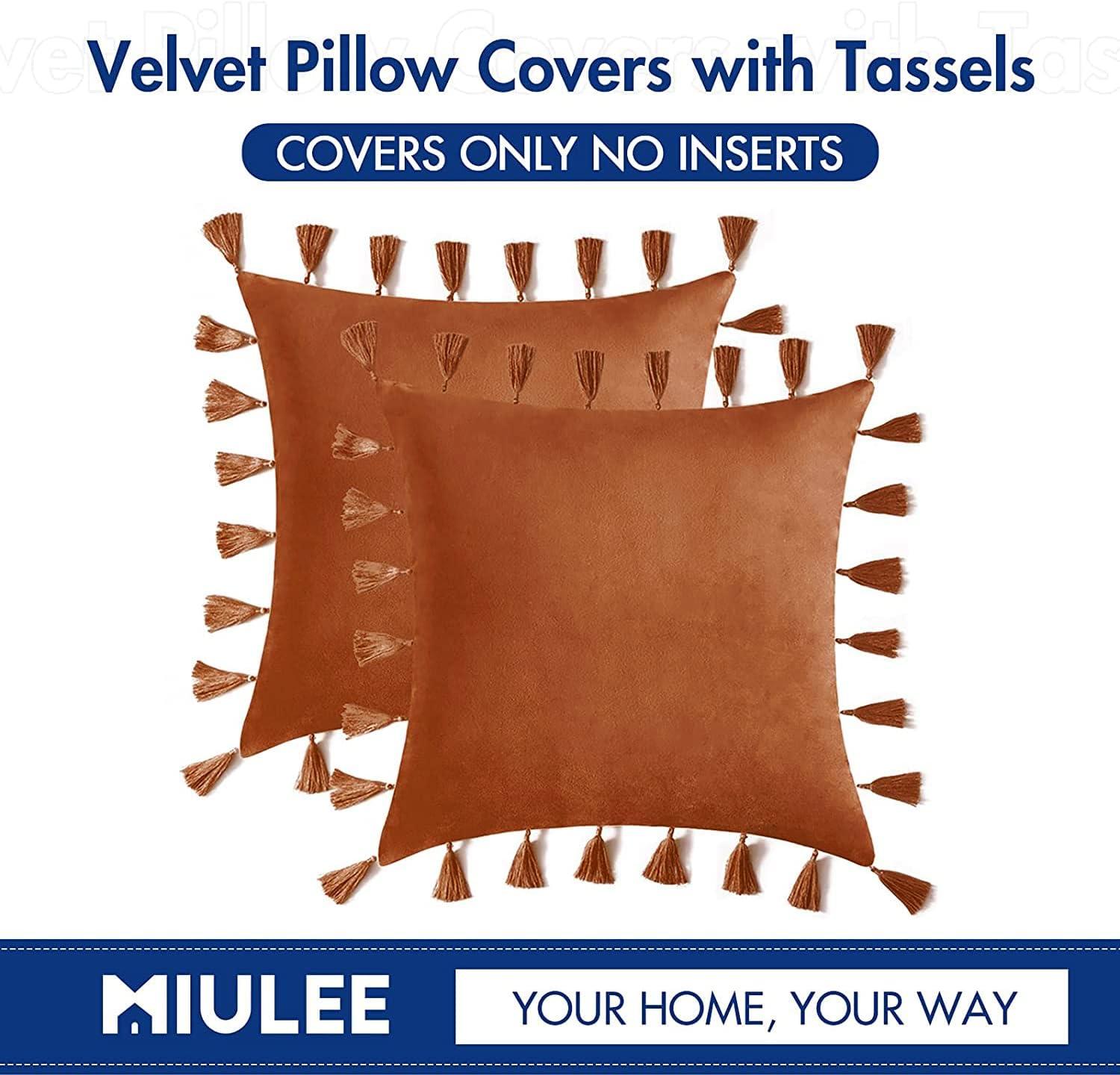 imageMIULEE Pack of 2 Fall Velvet Soft Decorative Throw Pillow Covers with Tassels Fringe Boho Accent Cushion Case for Couch Sofa Bed 22 x 22 Inch Orange
