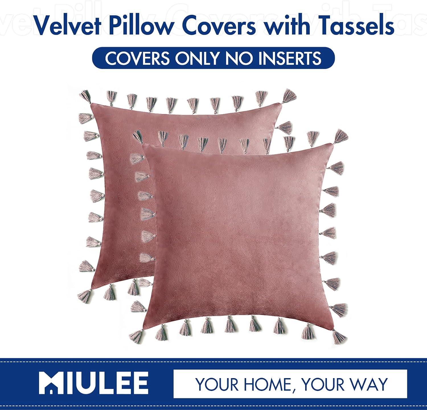 imageMIULEE Pack of 2 Velvet Soft Solid Decorative Throw Pillow Cover with Tassels Fringe Boho Accent Cushion Case for Couch Sofa Bed 18 x 18 Inch Jam