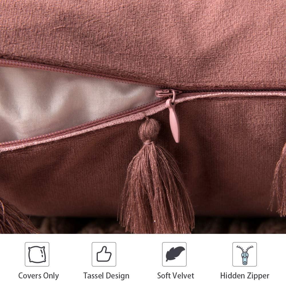 imageMIULEE Pack of 2 Velvet Soft Solid Decorative Throw Pillow Cover with Tassels Fringe Boho Accent Cushion Case for Couch Sofa Bed 18 x 18 Inch Jam