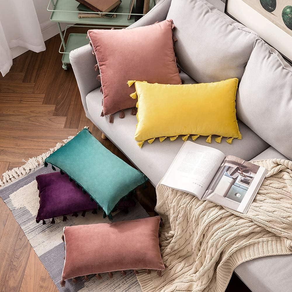 imageMIULEE Pack of 2 Velvet Soft Solid Decorative Throw Pillow Cover with Tassels Fringe Boho Accent Cushion Case for Couch Sofa Bed 18 x 18 Inch Jam