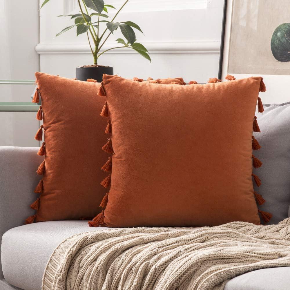 imageMIULEE Pack of 2 Fall Velvet Soft Decorative Throw Pillow Covers with Tassels Fringe Boho Accent Cushion Case for Couch Sofa Bed 22 x 22 Inch Orange