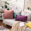 MIULEE Pack of 2 Velvet Soft Solid Decorative Throw Pillow Cover with Tassels Fringe Boho Accent Cushion Case for Couch Sofa Bed 18 x 18 Inch Jam