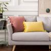 MIULEE Pack of 2 Velvet Soft Solid Decorative Throw Pillow Cover with Tassels Fringe Boho Accent Cushion Case for Couch Sofa Bed 18 x 18 Inch Jam