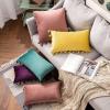 MIULEE Pack of 2 Velvet Soft Solid Decorative Throw Pillow Cover with Tassels Fringe Boho Accent Cushion Case for Couch Sofa Bed 18 x 18 Inch Jam