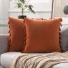 MIULEE Pack of 2 Fall Velvet Soft Decorative Throw Pillow Covers with Tassels Fringe Boho Accent Cushion Case for Couch Sofa Bed 22 x 22 Inch Orange