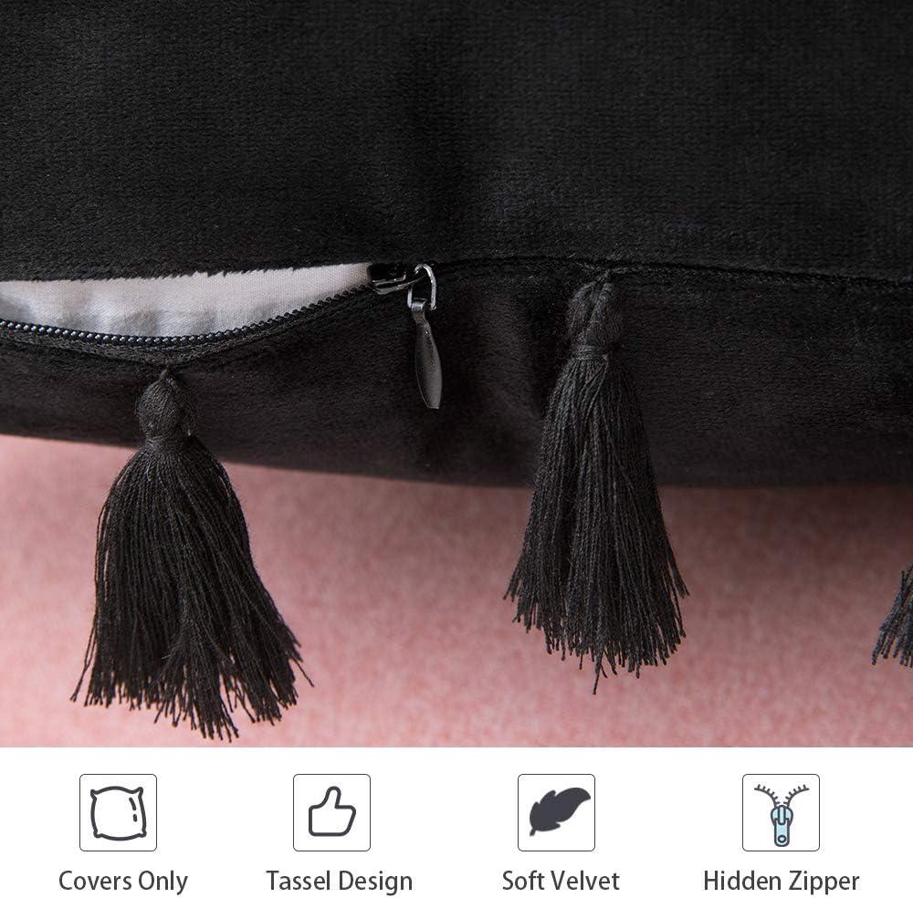 imageMIULEE Pack of 2 Halloween Velvet Soft Solid Decorative Throw Pillow Cover with Tassels Fringe Boho Accent Cushion Case for Couch Sofa Bed 20 x 20 Inch Black