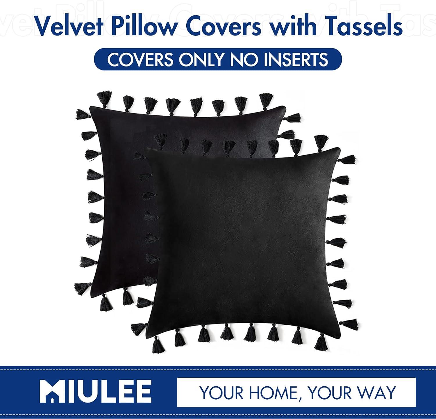 imageMIULEE Pack of 2 Halloween Velvet Soft Solid Decorative Throw Pillow Cover with Tassels Fringe Boho Accent Cushion Case for Couch Sofa Bed 20 x 20 Inch Black
