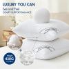 MIULEE 18×18 Inch Pillows Inserts, Pack of 4 Down Alternative Virgin Filling Comfy Support Throw Pillows for Sofa Couch Bed(2)