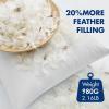 MIULEE Pack of 4 18×18 Pillow Inserts, Premium Feather and Down Decorative Throw Pillows, Fluffy and Choppable, Cotton Fabric for Sofa Bed Couch(20×20 Inch)