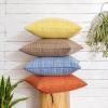 MIULEE Outdoor Waterproof Throw Pillow Covers Decorative Farmhouse Water Resistant Cushion Covers for Tent Patio Garden Couch Sofa Pack of 2, 18×18 Inch Coffee(Orange)