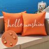 MIULEE Outdoor Waterproof Throw Pillow Covers Set of 2 Hello Sunshine Decorative Outdoor Rectangular Pillowcases for Chair Patio Garden Couch Tent Balcony Sofa Orange 12×20 Inch(Orange)